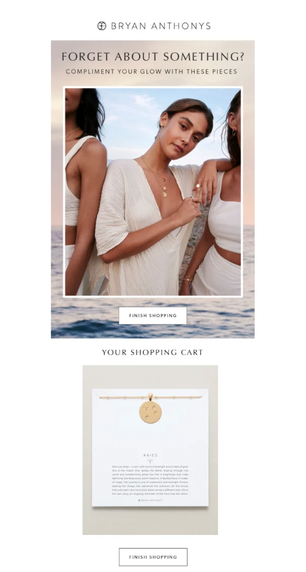 Bryan Anthonys 弃单提醒邮件示例