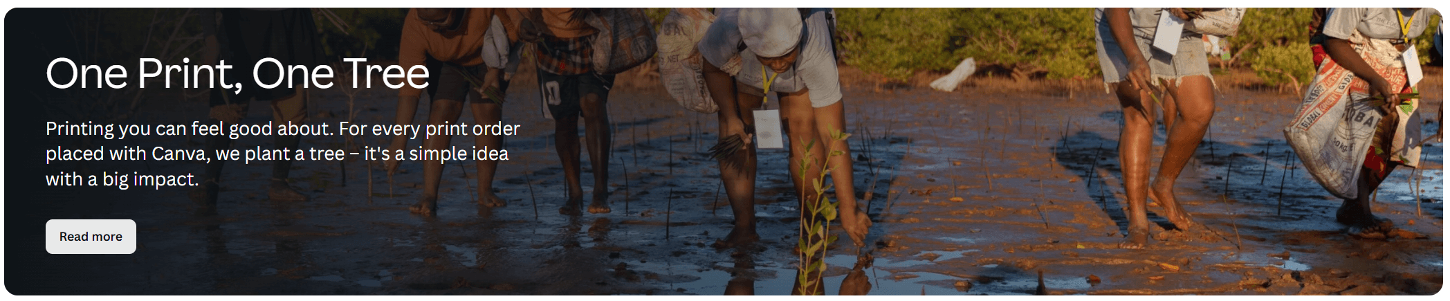 Canva设计的带图片与叠加文字的按钮框